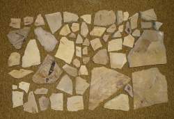 Objets : 55 fossiles ère secondaire et tertiaire comprenant des empreintes de poisson , crinoïdes , feuilles.
