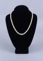 Bijou : Collier de perles de culture avec fermoir en or blanc 18K serti d'un petit rubis