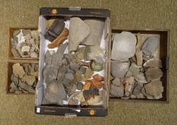 Objet: nombreux fragments de poterie ou autres en céramique de fouilles (prov Mo