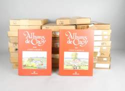 Livre : Albums de Croy (26pcs) sous la direction de J. - M. Duvosquel Bxl Crédit Communal de Belgique circa 1990