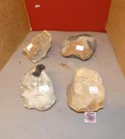 Objet : Silex choppers(4) provenance Wimereux France paléolithique