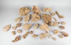 Collection : Lot de Roses des Sables