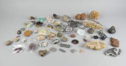 Collection : minéraux et fossiles dont géode de quartz , fluorite , agate , bois fossile , ortocéras , coquillages , . (env. 50pcs)