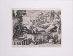 Estampe : Eau - Forte - Capture des fauves - GALLE Philip