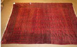 Tapis d'Orient noué main AFGHAN
