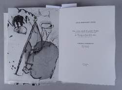 Livre : CELINE Louis - Ferdinand , Ca a débuté comme ça , Paris , L'Initiale , 1987 , exemplaire n°18 , illustré de 12 eaux - fortes par Thomas GOSEBRUCH