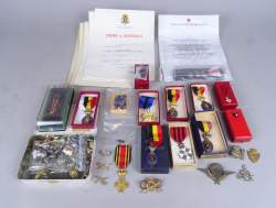 Collection : 11 décorations militaires et civiles + boutons + insignes