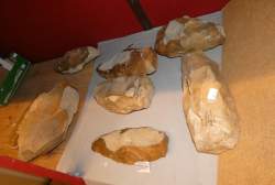 Objet : 8 Silex taillés : nucleus / livres de beurre Néolithique provenance ABILLY Indre - Loire France