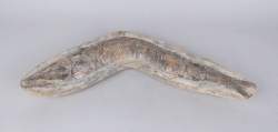 Objet : Fossile de poisson (rest)